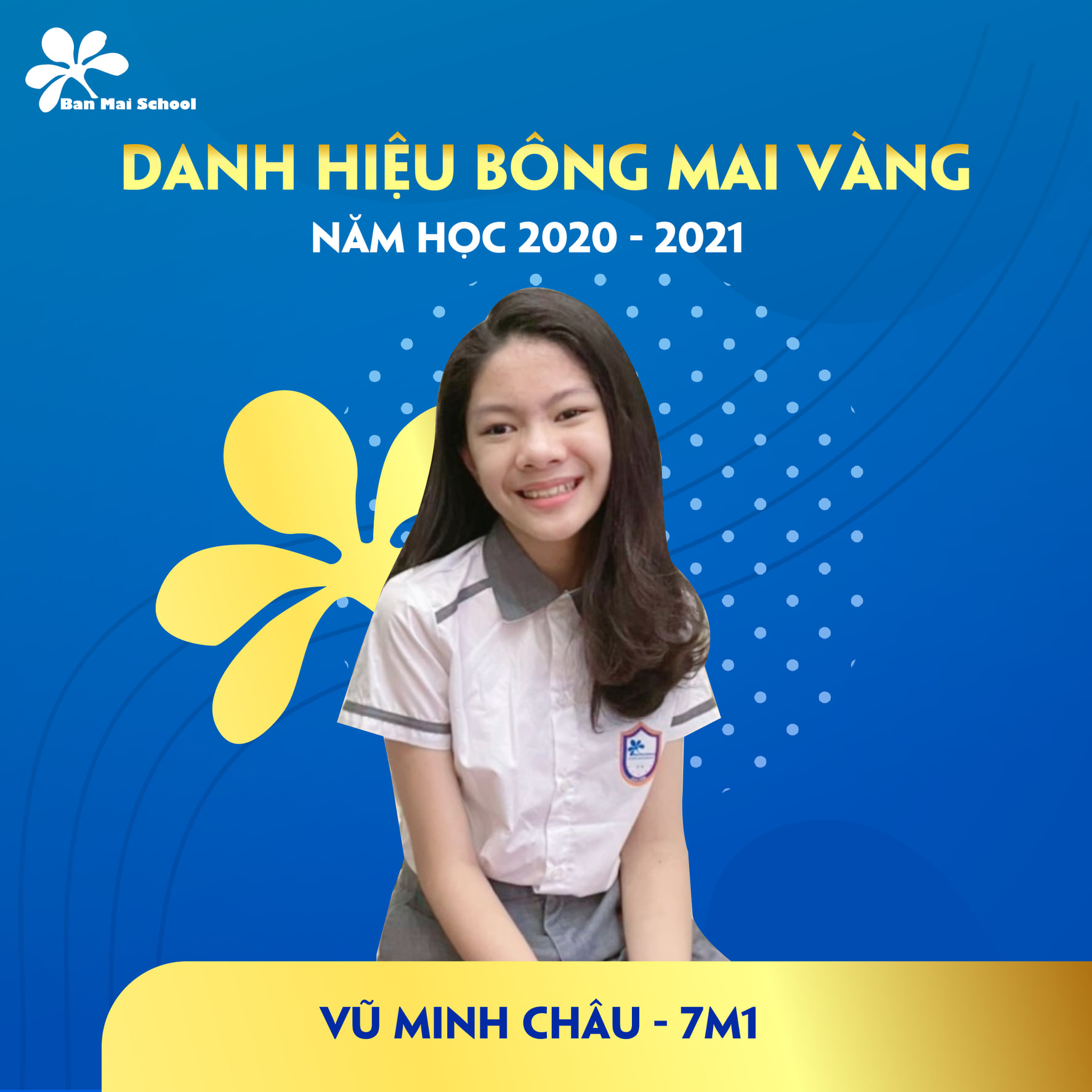 Danh hiệu bông mai vàng 8